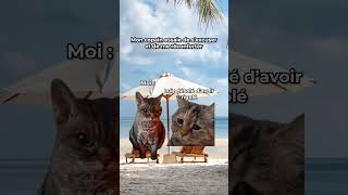 Pov : moi et mon copain en vacances#chat #meme #trend