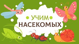 Насекомые Для Детей. Изучаем Насекомых По Картинкам. Учимся Говорить. Карточки Домана