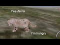 Wild Animals online: sad story