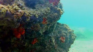 Fanari - Aegaean Sea, Northern Greece