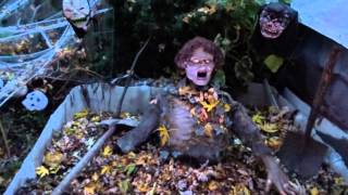 Watch Halloween Haunted video