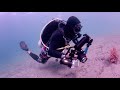 underwater photographer
