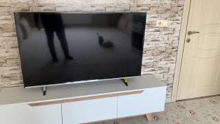Regal 58R7540Ua Smart Tv