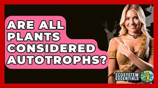 Are All Plants Considered Autotrophs? - Ecosystem Essentials
