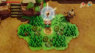 Links Awakening - Koholint Prairie Secret Seashell