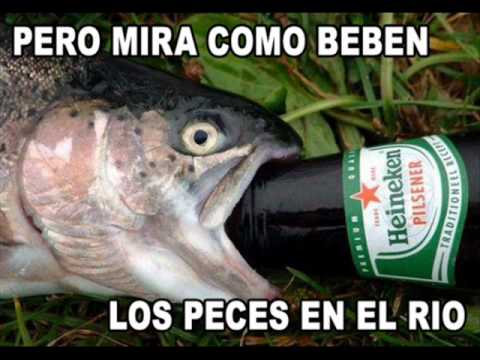 LETRA PERO MIRA COMO BEBEN LOS PECES letra pero mira como beben los peces: