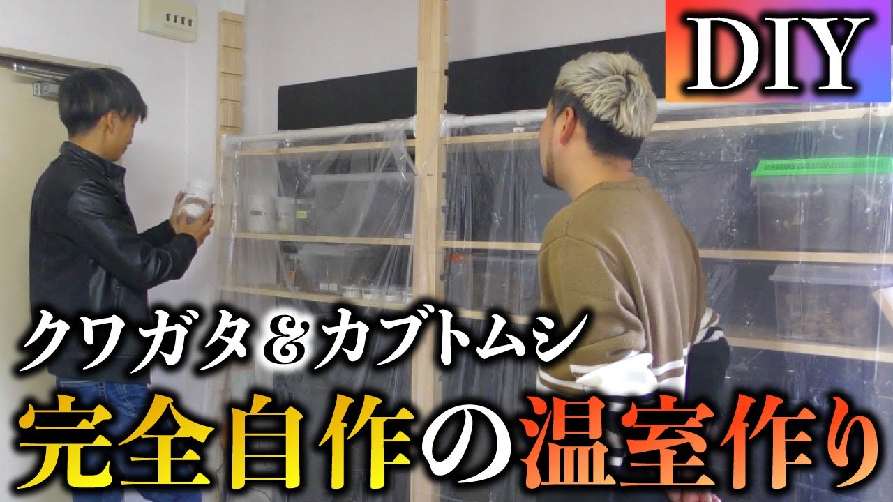 【冬を越える】クワガタの温室をDIYで作ってみた【超簡単】