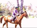 My Fav Lesson Horse, Pilgrim! - Cherry LYDER