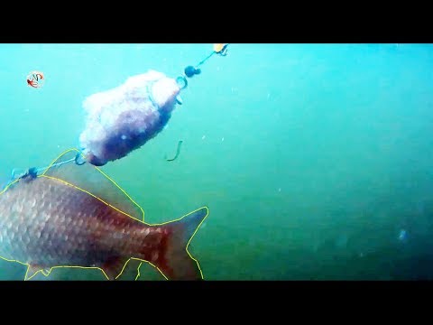 донка подводная съемка донка подводная съемка