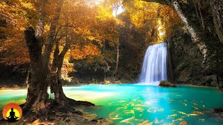 🔴 Relaxing Music 24/7, Meditation, Sleep Music, Yoga, Spa, Calm Music, Relaxing Music, Study Music