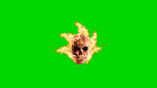 Ghost Riderskull Green Screen Free To Screen Record