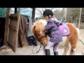 shetty