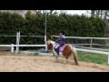 shetty