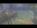 Guild Wars 2 vs wow