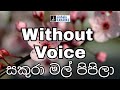 Sakura mal pipila karaoke with lyrics සකුරා මල් පිපිලා | Nanda Malani නන්දා මාලනී Sinhala Karaoke