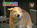 Rie