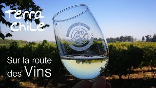 Voyage Chili - Route des vins : que boire à côté de Santiago ?