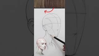 Master Face Angles With Loomis