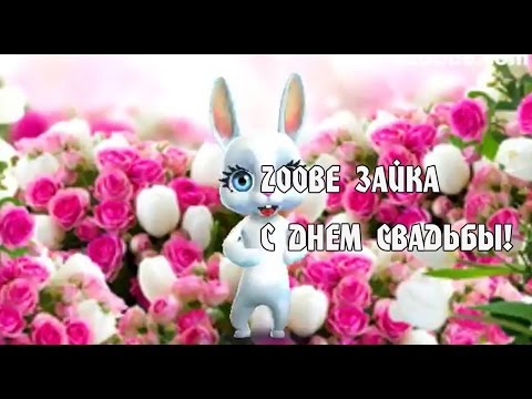 Зайка поздравление с днем свадьбы Зайка поздравление с днем свадьбы