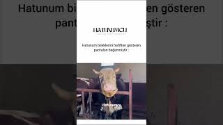 Yoookk