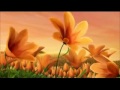 Pixie Preview-Garden Fairy Rosetta Fandub Ready Pixie Preview-Garden Fairy Rosetta Fandub Ready