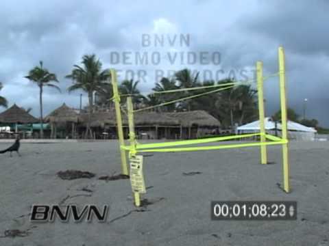 7/27/2006 Sea Turtle Nest Video, Venice Beach FL Sea Turtle Nest