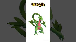 Evolution Of Treecko Pokemon