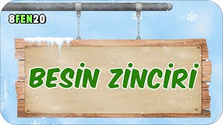 Besin Zinciri 📗 tonguçCUP 3.Sezon - 8FEN20 #2024LGS
