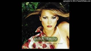 Petek Dinçöz-Foolish Casanova(İnstrumental Karaoke) 2002