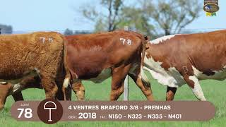 LOTE 78 | Remate Braford Estância do Sossego 2021