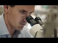 Secret lives of cells – Life sciences