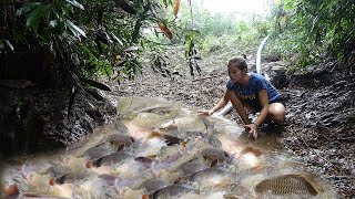 Top Video Fishing -Modern Technology Catch Many Big Fish - Pump Fishing Techniques - Survival Skills