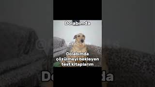 Kanepenin Köşesinde Sabahlıyorum