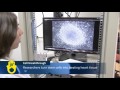 reprogrammed stem cells