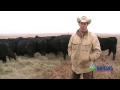 Matt Perrier, cattle rancher - Eureka, Kansas