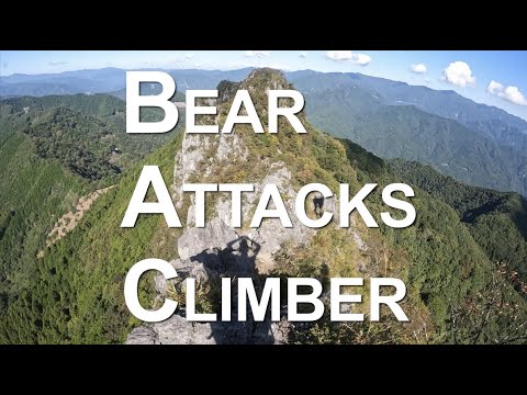登山中に熊に襲われた / Bear attacks climber (10月17日 14:30 / 87 users)