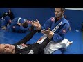 Draculino BJJ - Provoking a Giant - Part 2 : Ball Grabbers