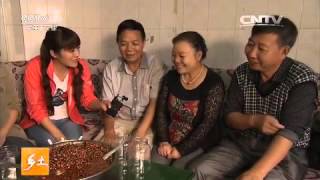 20151124 乡土 辣在湄潭