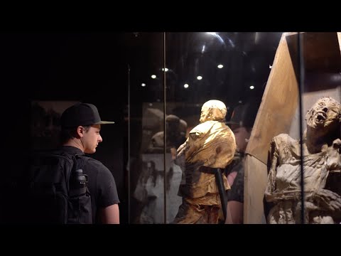 Une visite troublante... Le musée des MOMIES de Guanajuato