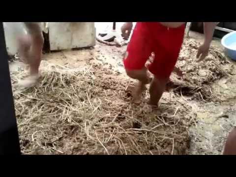Chuyên làm tường vách đất trộn rơm ,nhà mái lá
