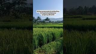 Lidah Berbisa
