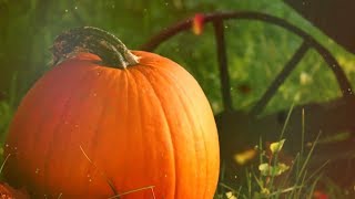 Peaceful music, Relaxing music, Intrumental Music "Quiet Autumn Lake" by Tim Janis