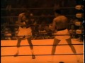 Ranker Video