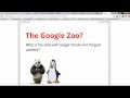 Internet Marketing - What is internet marketing and does Google own a zoo?