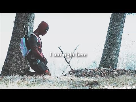 Dusk Video