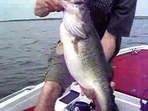 Record Largemouth Bass largemouth bass record. Record Largemouth Bass