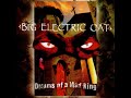 Big Electric Cat - Twisting man