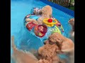 Baby Animals Funny Cats and Dogs s Compilation 2019 nicht lach challenge / not laugh challenge