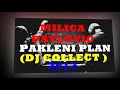MILICA PAVLOVIC - PAKLENI PLAN REMIX ( DJ COLLECT 2013 ) HIT