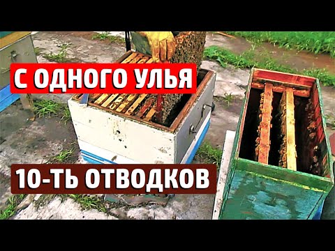 221Как сделать сборное